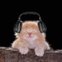 momo icon